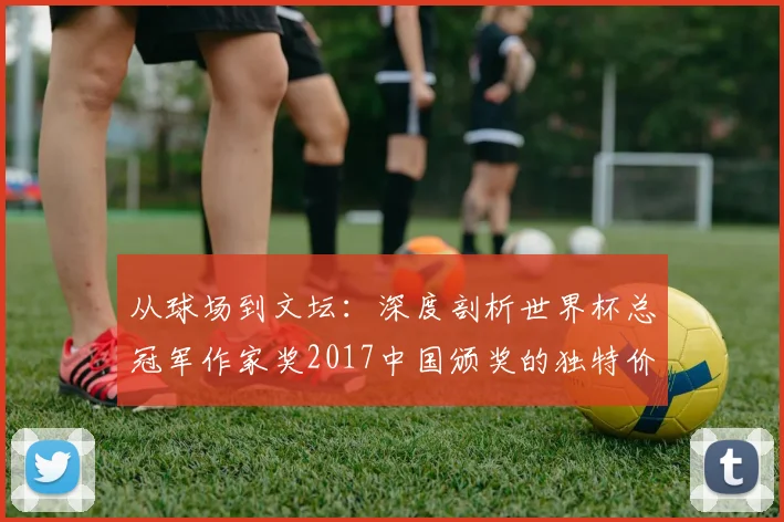 从球场到文坛：深度剖析世界杯总冠军作家奖2017中国颁奖的独特价值