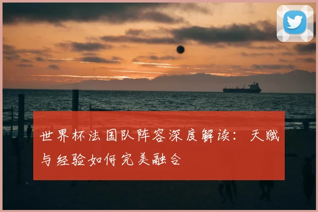 世界杯法国队阵容深度解读：天赋与经验如何完美融合