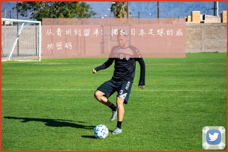 从青训到留洋：揭秘日本足球的成功密码