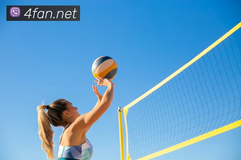 App Interface Preview